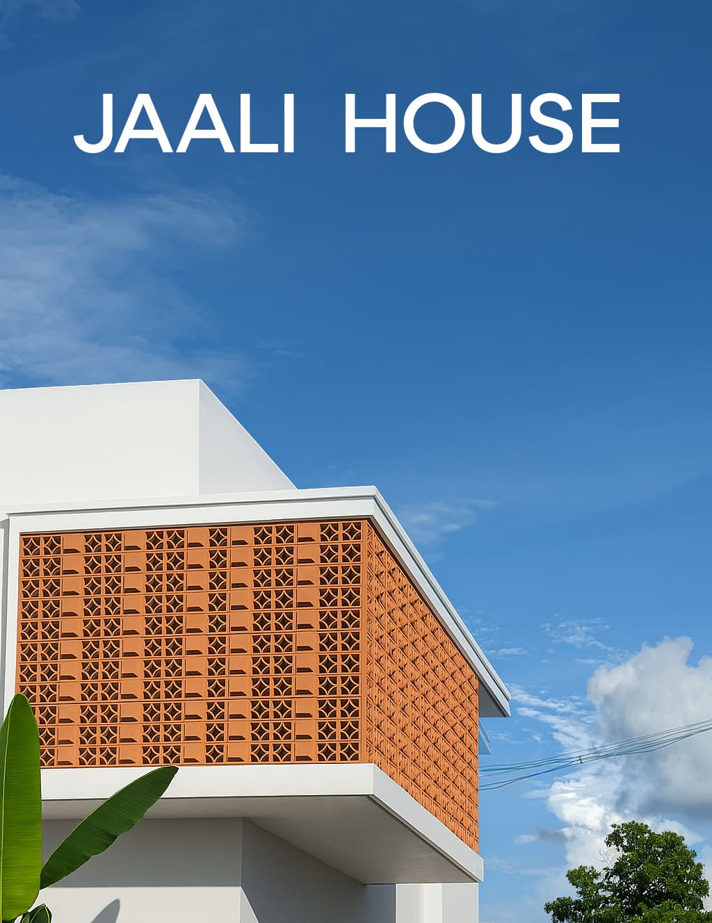 Jaali House - image 11